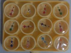 BOX BINDI  ( BB-0026 )